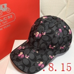 ブランド帽子N級